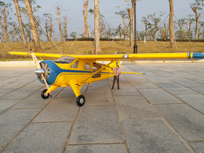 DHC-2 BEAVER
